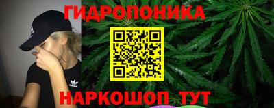 прущие грибы Чебоксары