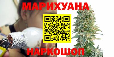 прущие грибы Чебоксары