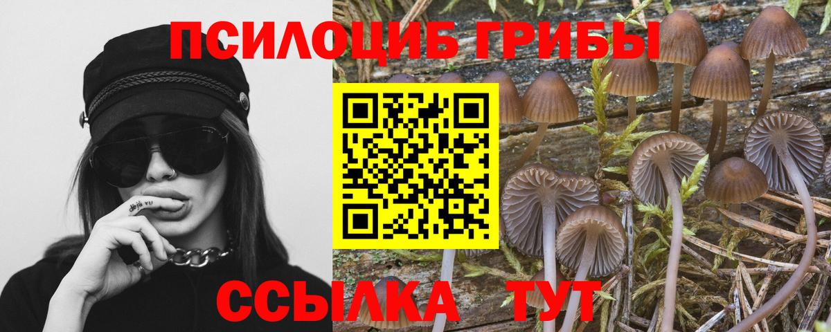 Псилоцибиновые грибы Cubensis  Вход с VPN  Саров 